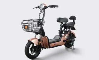 新國標實施在即，愛瑪與雅迪電動車如何選擇？