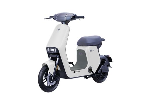 母親節，送媽媽最實用的禮物——新日電動車